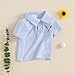 Baby Boy Tshirts Casual Short Sleeve Duck Golf Embroidery Collared Polo Shirts Tees Toddler Summer Clothes (Golf Blue, 18-24 Months)
