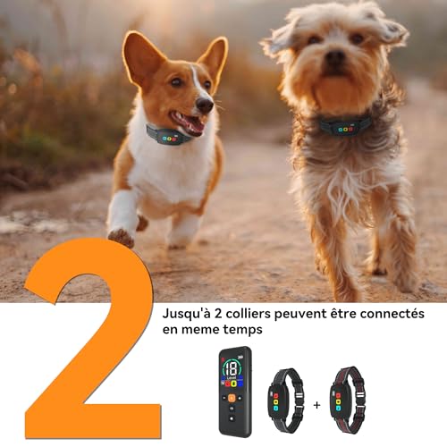 Forces et compromis collier Meloive