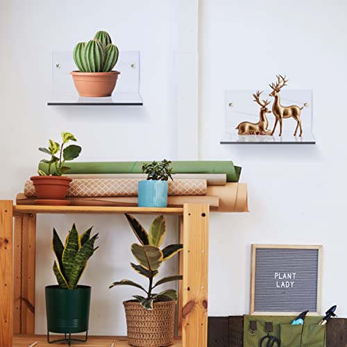image for Yalikop Small Acrylic Shelf Floating Shelves for Wall Adhesive Display