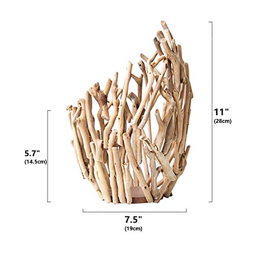 100% Handwork Natural Driftwood Wooden Decoration Vase with Hydroponics GlassJar - Image 8