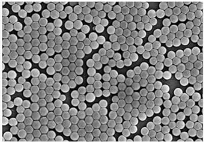Vista 7 de Nanopartículas de sílice coloidal Alpha Nanotech (disponibles de 20 nm a 1000 nm) (400 nm, 10 mg/ml)