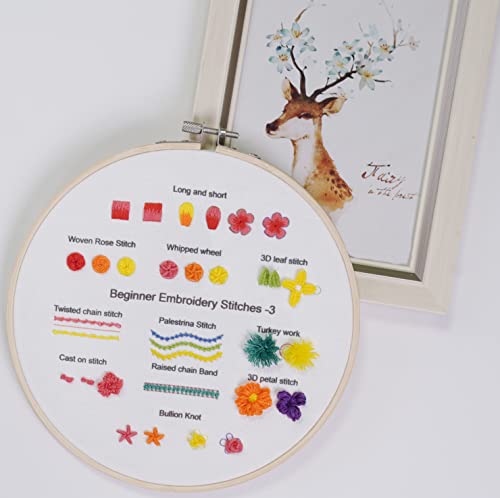 Fanryn Embroidery Kit For Beginners Beginner Embroidery Stitch Practice Kit, 3 Sets Embroidery Kit To Learn 35 Different Stitches For Craft Lover Hand Stitch With Embroidery Skill Techniques #TOP4