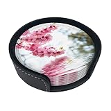 Spring Nature Lot de 6 dessous de verre en cuir avec support, imperméables, résistants à la chaleur, protection de table, cadeau de pendaison de crémaillère