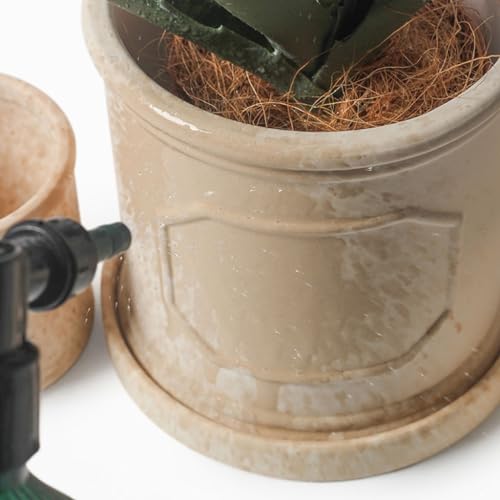 Pots de fleurs simples modernes pour sublimer une pièce vide sans encombrer - 7