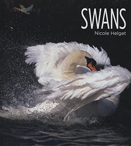 Swans (Living Wild)