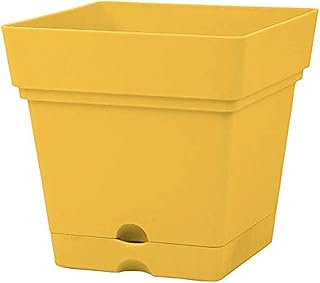 Mintra Plastic Square Pot And Plate Pack 18cm - Mustard