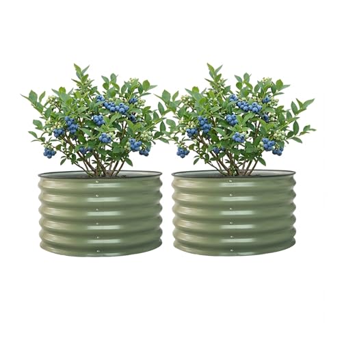17' Tall Herb Raised Garden Bed for Basil Lavender Sages, 30' Wide Round Fruit Tomato Planter Box...