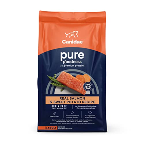 7 Best Dog Food for Itchy Skin Brands (2020 Review Update)