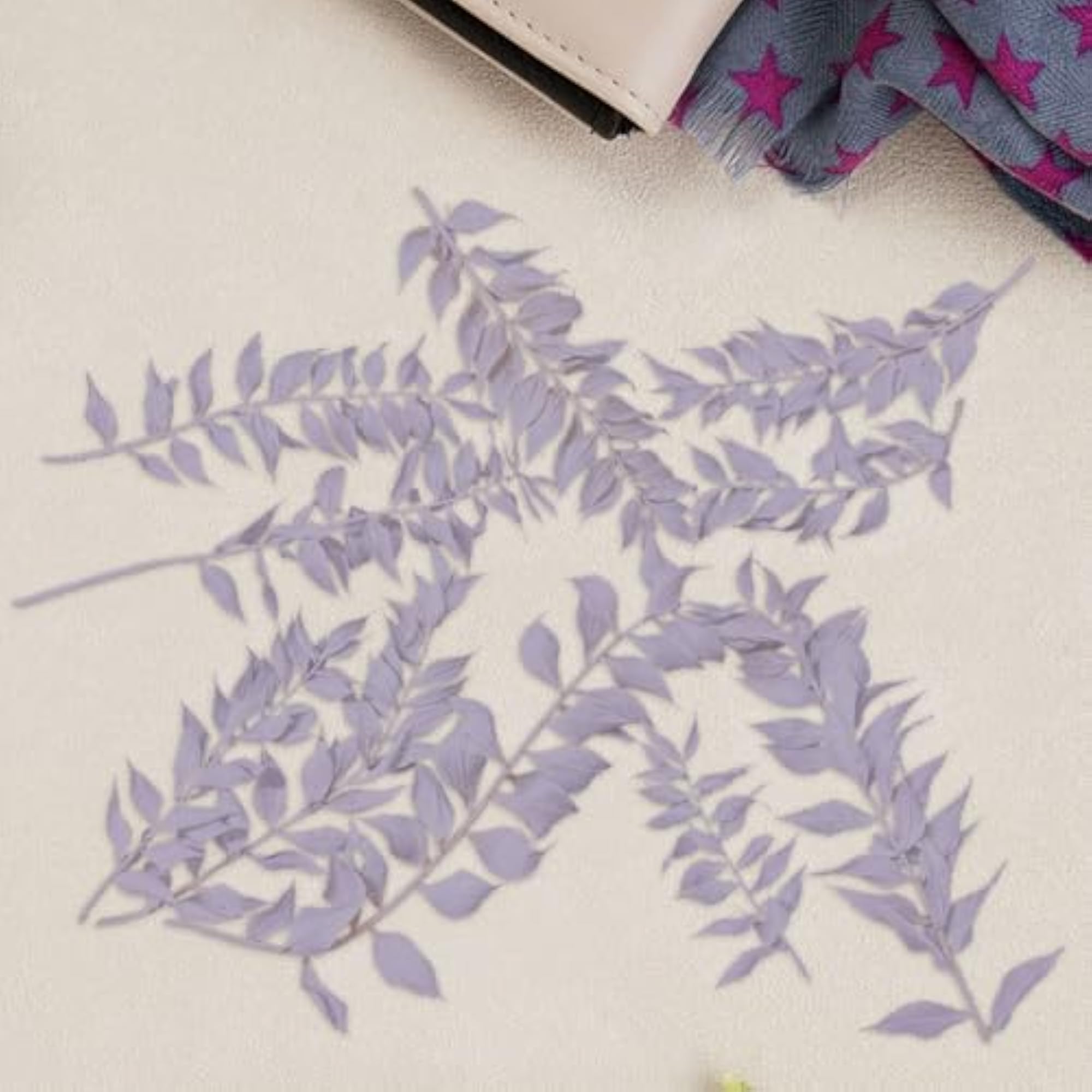Dried Ruscus Flowers for DIY Projects and Decorations
