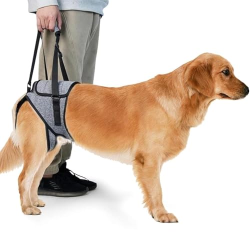 KOMUNJ Imbracatura di sollevamento taglia, Imbracatura per Cani per Zampe Posteriori, Cintura Ausiliaria Imbracatura Cane Zampe Posteriori per Cani Anziani Disabili E Feriti, XL