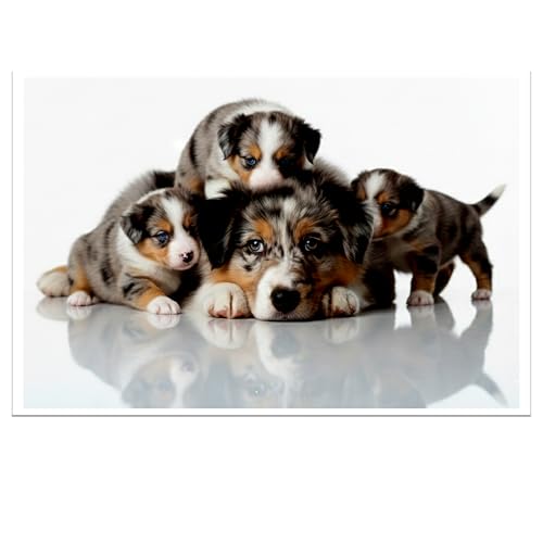 Custom Photo Prints - Photo Print - 6 x 8 in - Matte Finish - Upload Your Photo - Personalized Picture Print
