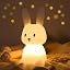 White- Big Bunny