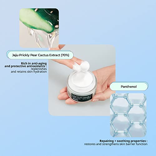 Yadah Cactus Cream 50ml, 50 ml (Pack of 1) - Image 4