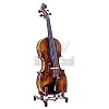 Sky A++ Maple and Spruce Collector Series (Highly Flamed) Mastero Soundi 4/4 Size Professional Hand-made One-piece Back Acoustic Violin 100% Oil Varnished