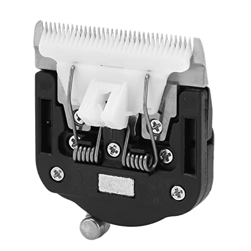 QANYEGN J[ybgg}[wbhAdoJpwbhAƒpdJ[ybgg}[ ֐nA5iϑJb^[wbh 200W Jb^[wbh