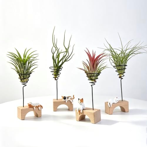 Air Plant Holder Set of 4, Cute Cat Wooden Base for Desk Home Decor image 4