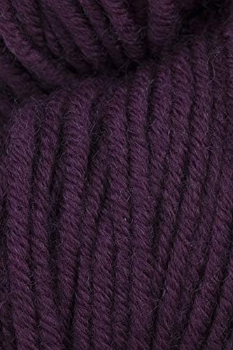 Simpliworsted Knitting Yarn - Edgy Eggplant (# 045)