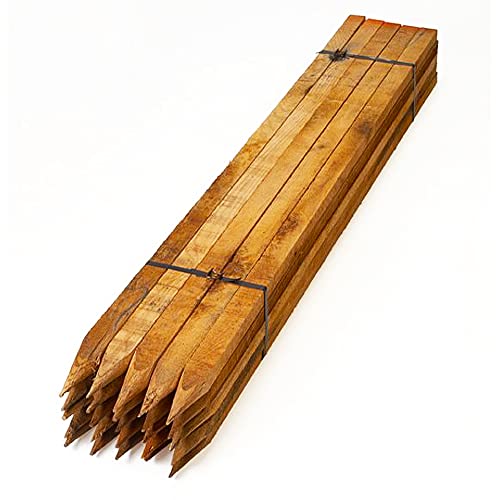 Homatz Estacas de madera para jardín, 10 unidades, 30 cm de largo, cuadradas, madera tratada a presión para soporte de plantas y árboles, clavijas de 2,5 cm de grosor