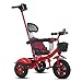 YGB Actualización de Triciclo para bebé, Triciclo | Triciclo para niños | Cochecito 2 en 1 Desmontable | Ajuste de 6 Meses a 6 años | Rosa | Rojo | Verde | Blanco | 76X105CM (Color: Rojo)