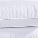 puredown Quilted White Goose Feather and Down Pillow, Set of 2, Standard Size