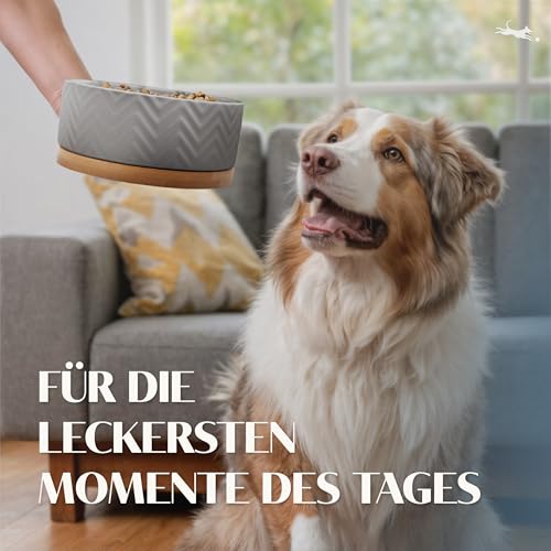 FREUDENTIER Hundenapf aus Keramik mit Bambus-Boden - 990ml - rutschfest & spülmaschinenfest - Moderner Futternapf/Fressnapf für Grosse Hunde & kleine Hunde - Näpfe Hund (Weiß, 1x)