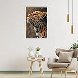 Zoom IMG-2 dcidbei diamond painting leopard 40x50cm Zoom IMG-2 dcidbei diamond painting leopard 40x50cm
