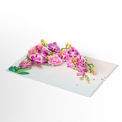 Lovepop Everyday Pop-Up Card for Her - 3D Greeting Cards for Girls, Women - Watercolor Orchid - 5" x 7" Flower Card - Blank Note Card & Envelope Included
