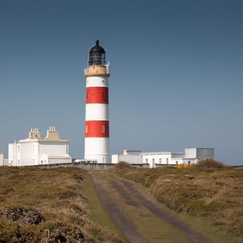 Final Words Stay on track