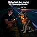 LaRoo Sicherheits LED Leuchtband für Hunde Katzen,LED Licht Blinklicht mit Klettverschluss, Einfach an Halsband Leine und Geschirr zu Befestigen