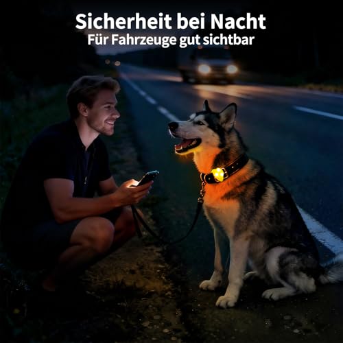 LaRoo Sicherheits LED Leuchtband für Hunde Katzen,LED Licht Blinklicht mit Klettverschluss, Einfach an Halsband Leine und Geschirr zu Befestigen