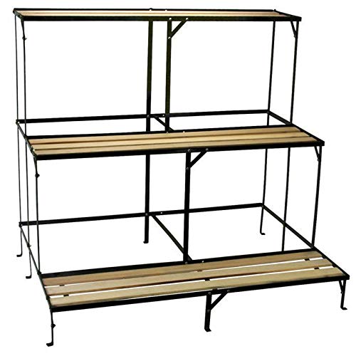 Generic S Plant G fiori vaso piantina serra serra