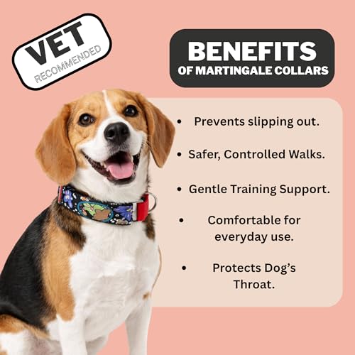 Image of Dog-O-Bow Pokemon Print Martingale Dog Collar, Durable, Comfortable & Adjustable Training Collar (M)