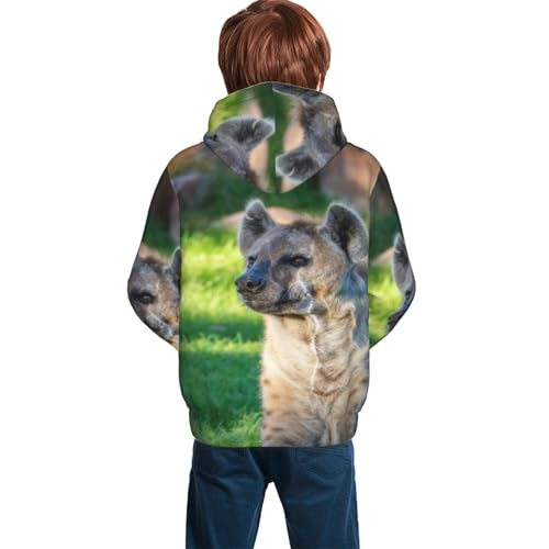 Hyena Pattern Boy, Girls Sports Shirt Youth Pullover Fashion Hooded Sweatshirt2