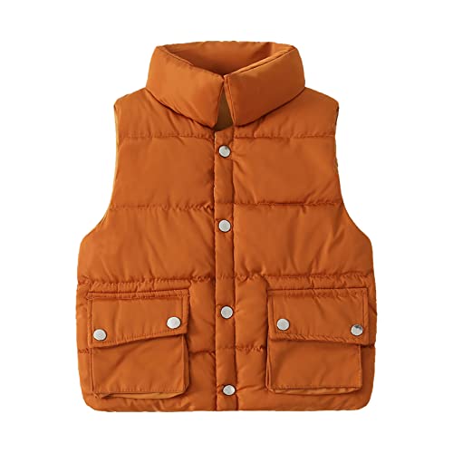 Kids Boys Girls Sleeveless Puffer Jacket Windproof Vest Zipper Thicken Warm Outerwear Winter Padded Waistcoat Vest