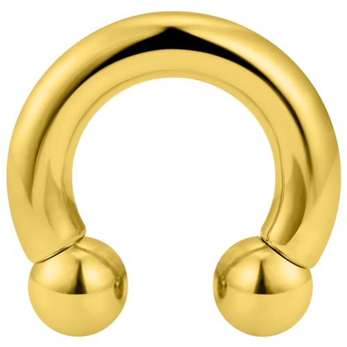 Yaalozei 2G Gold Spetum Rings Ear Gauges Earrings Plug Tunnel Streching Piercing Kit Surgical Stainless Steel Horseshoe Prince Albert Nose PA Cartilage Earring Ring Piercing Jewelry Women Men 12mm