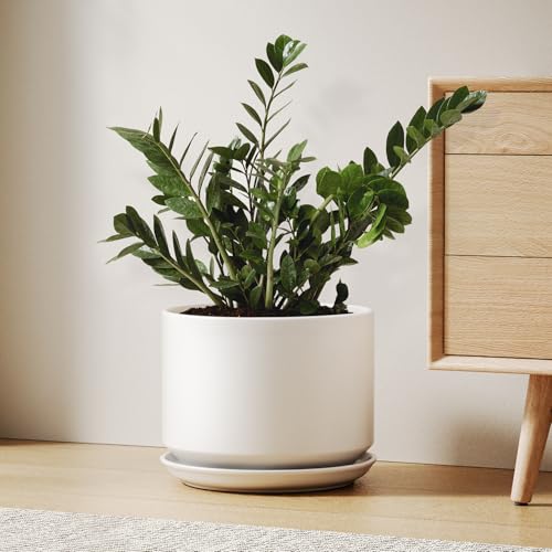 LE TAUCI Ceramic Pots for Plants 10 Inch Plant Pot with Drainage Hole & Saucer Sturdy & Modern Planters for Indoor Plants Includes Mesh Screen Fits Snake Plant & Monstera White