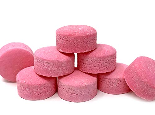 Sweetgourmet Pink Wintergreen Lozenges | Canada Mints Bulk Candy | 1 Pound #TOP1