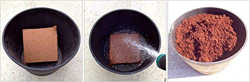 Image of SAPRETAILER Cocopeat Block 5Kg - Expands to 75 litres of Coco Peat Powder