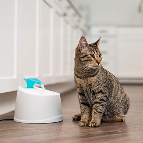 Fuente de agua y arenero para gato grande IRIS USA miniatura 5