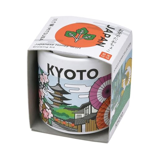 V| ł傱 JAPAN Ot TCYF4.3 H4.8 GD-99703