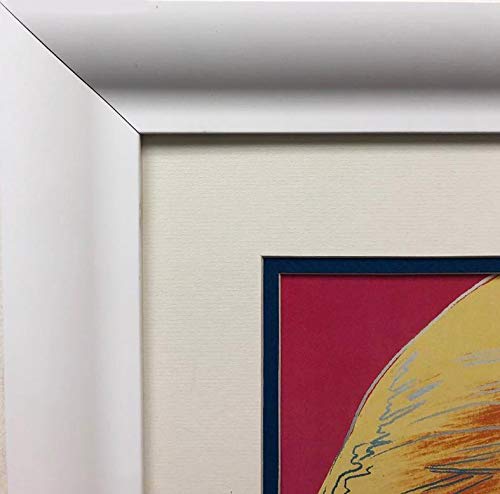 Amazon.com: Andy Warhol 