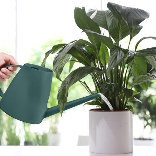 Image of Plastic Watering Can for Home Plant Garden1 /2 Gallon Blackish Green