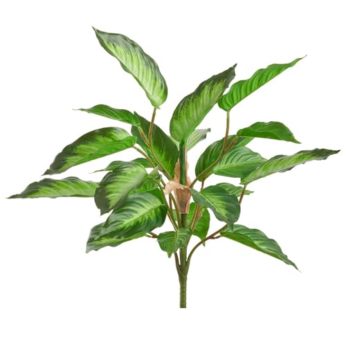SilksAreForever Rohdea Japonica Silk Plant Green Cream 19 inches