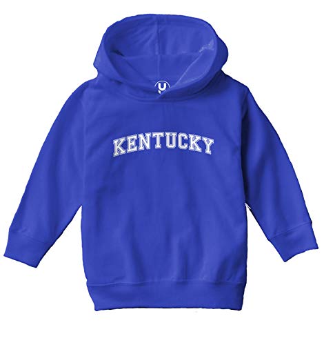 Kentucky - State Proud Strong Pride Toddler/Youth Fleece Hoodie2