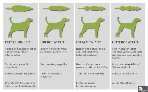 Animonda GranCarno 30x 400g Mix | garantiert 10 Sorten enthalten | Getreidefreies Hundefutter, Nassfutter