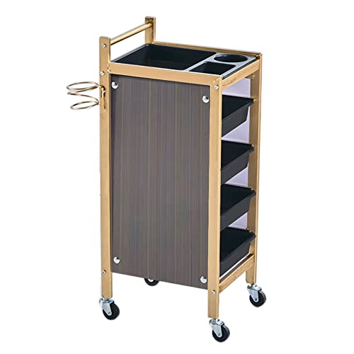 Carrito de herramientas para peluquería con ruedas de 5 niveles, color dorado, con 4 bandejas y estante para secador de pelo, 36 x 32 x 85 cm, perfecto para estilistas profesionales