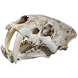 ▶ Wir verwenden die neuesten umweltfreundlichen Materialien, bitte verwenden Sie diese.