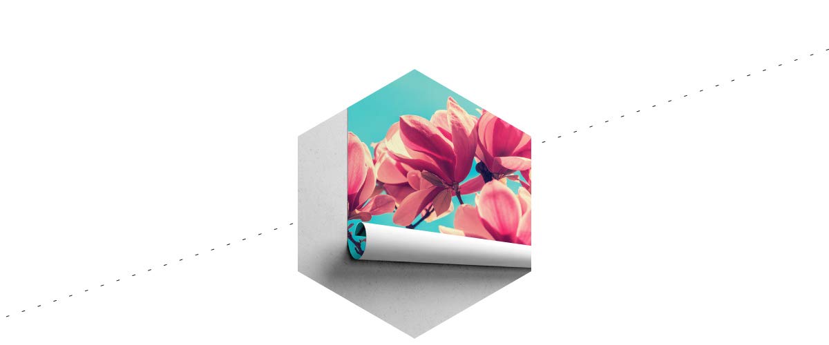 Muralo 611455280 - Papel Pintado Fotográfico (fieltro), Diseño De