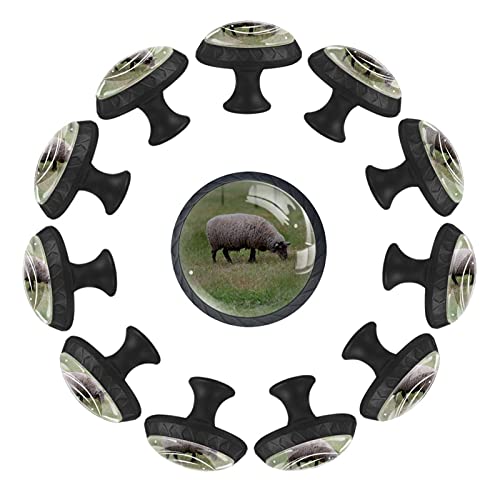 Boutons de tiroir mouton pour relooker facilement une commode usée - 2