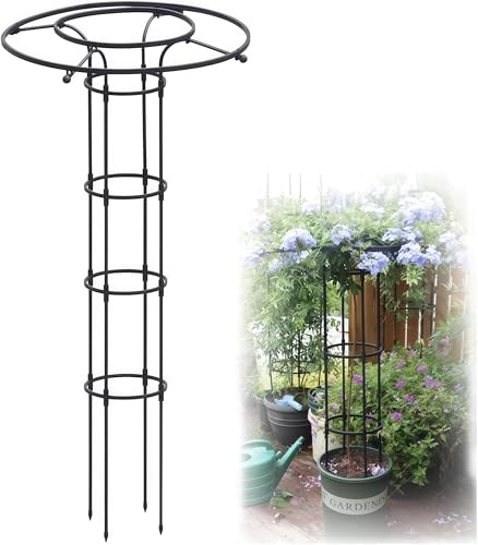 Enrejado vertical de jardín de metal para pepino y plantas trepadoras en contenedor 2